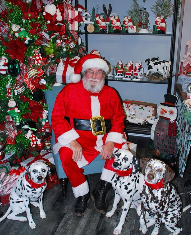 santa dogs